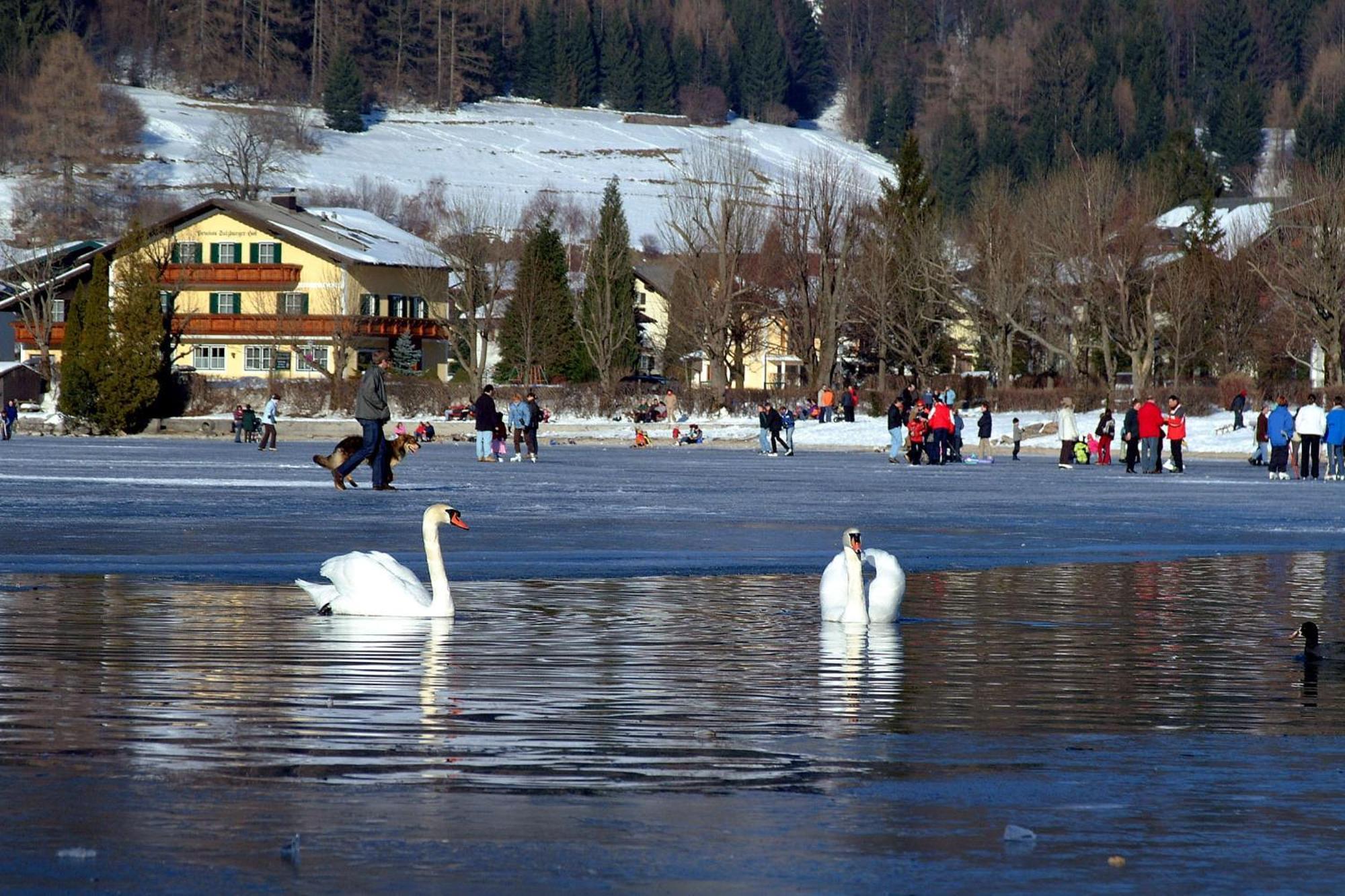 Landhotel Schuetzenhof Fuschl am See Extérieur photo